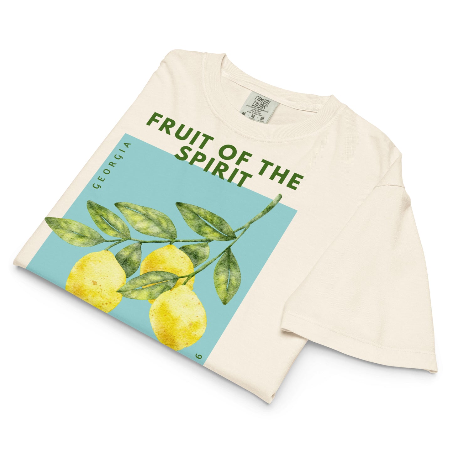 Fruit of the Spirit Boxy Tee